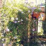 Casa de hóspedes Pinares Lloret de Mar