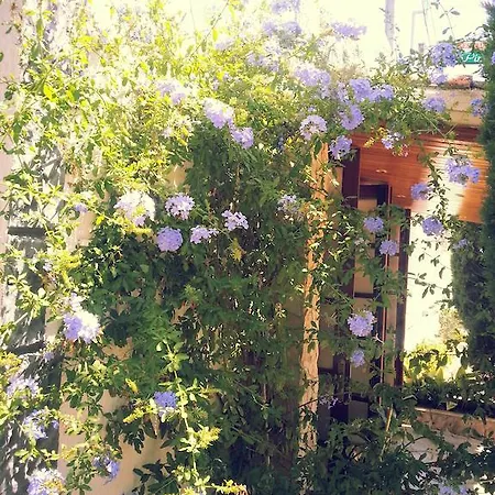 Gæstehus Pinares Lloret de Mar