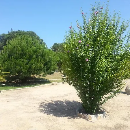 Pinares 료렛 드 마르