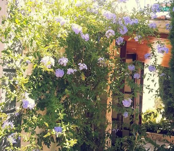 招待所 皮纳莱斯旅馆 滨海略雷特