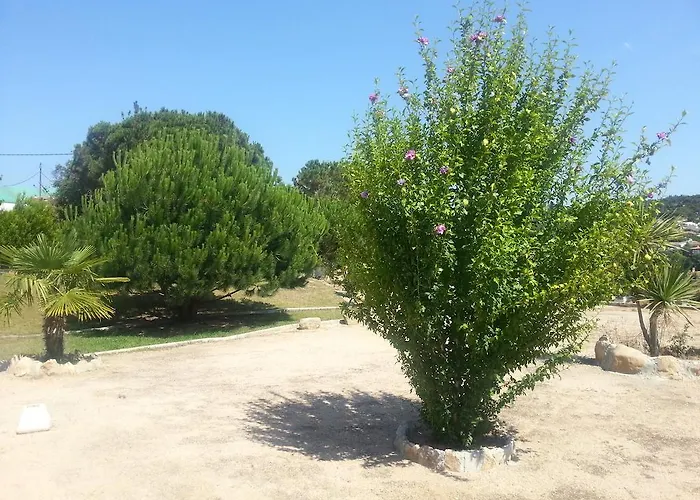 皮纳莱斯旅馆 滨海略雷特