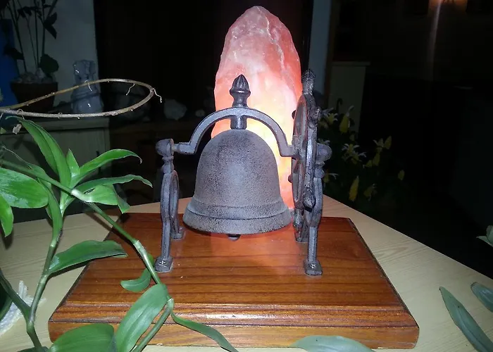 招待所 皮纳莱斯旅馆 2*